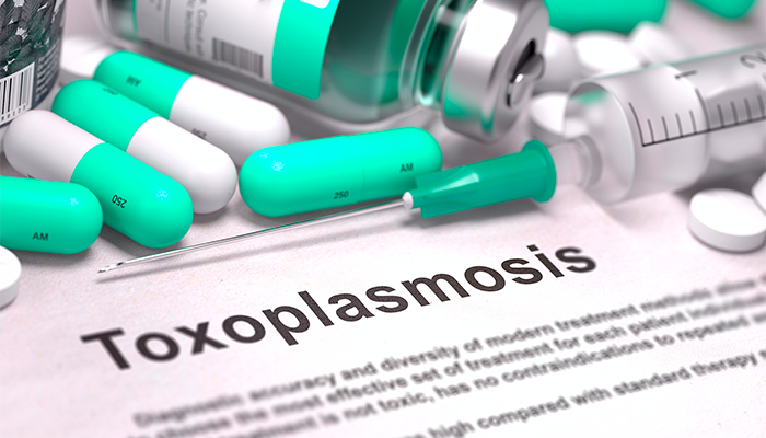 ¿Qué es la toxoplasmosis y cómo prevenirla?